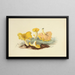 British Mycology Illustrations Painting Pl. 04 - Anna Maria Hussey — framed artwork on a wall