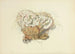 Illustrations of British Mycology Pl10 - Anna Maria Hussey — artwork view