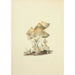 Illustrations de mycologie britannique Pl55 - Anna Maria Hussey — artwork view