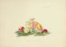 Illustrations of British Mycology Pl61 - Anna Maria Hussey — artwork view