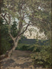 A study of a tree - Anna Nordlander — artwork view