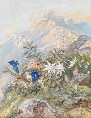 Anna StainerKnittel - Enzian und Edelweiss.webp