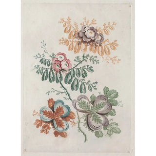 Anne Allen - Floral Fantasies.webp