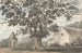 The Queen Elizabeth Oak near Finborough Hall - Anne Rushout — artwork view