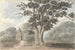 the Queen Elizabeth oak near Finborough Hall July 31, 1824 - Anne Rushout — artwork view