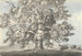 Tre figure in piedi sotto un grande albero - Anne Rushout — vista dell’opera
