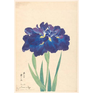 Anonymous - Above the Clouds Kumo no Uye.webp