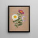 Asters - Anonimo — quadro incorniciato alla parete