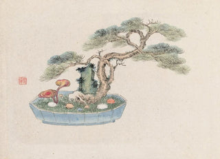 Anonymous - Bonsai kabenzu Pl01.webp