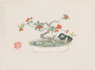 Anonymous - Bonsai kabenzu Pl07.webp