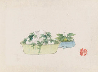 Anonymous - Bonsai kabenzu Pl10.webp