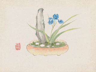 Anonymous - Bonsai kabenzu Pl11.webp