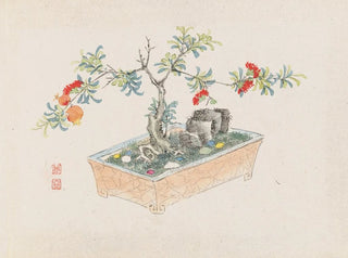 Anonymous - Bonsai kabenzu Pl12.webp