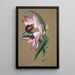 Collection di orchidee Pl36 - Anonimo — quadro incorniciato alla parete