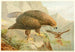 Aigle royal - Anonyme — vista dell’opera