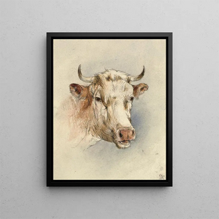 Anonymous - Head of a bull.webp