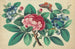 Großes rotes Blumen-Gemälde, blaue Blumen, Schmetterling - Anonym — Ansicht des Kunstwerks