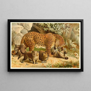 Anonymous - Leopards.webp