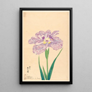 Anonymous - Love Meditating on Its Consort Sofuren.webp