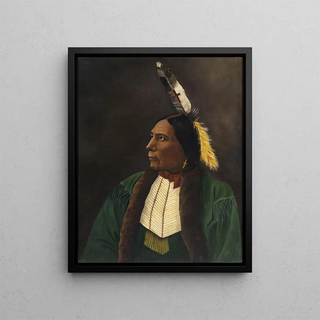 Anonymous - Portrait of an American Indian.webp