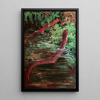 Anonymous - Purple Salamander And Red Salamander.webp