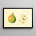 Pyrus communis - Anonym — gerahmtes Bild an der Wand
