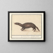 Furet - Anselmus Botius de Boodt — gerahmtes Bild an der Wand