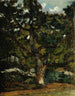 Vista sulla foresta di Fontainebleau - Antoine-Louis Barye — vista dell’opera