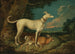 Ein Jagdhund mit einem Hasen - Anton Enzinger — Ansicht des Kunstwerks