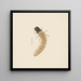 Acquerello di entomologia Pl083 - George Hudson — quadro incorniciato alla parete