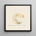 Aquarelle d'entomologie Pl087 - George Hudson — framed artwork on a wall