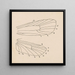 Acquerello di entomologia Pl163 - George Hudson — quadro incorniciato alla parete
