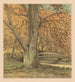 Albero vicino al ruscello in autunno - Simon Moulijn — vista dell’opera