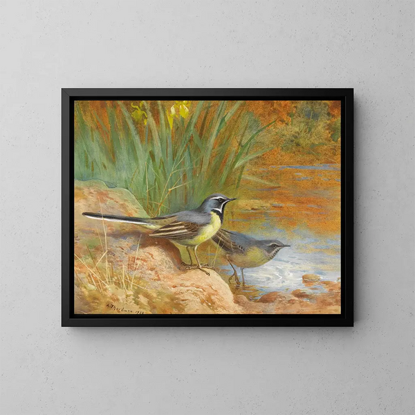 5 Graue Gartengrasmücken - Archibald Thorburn — gerahmtes Bild an der Wand