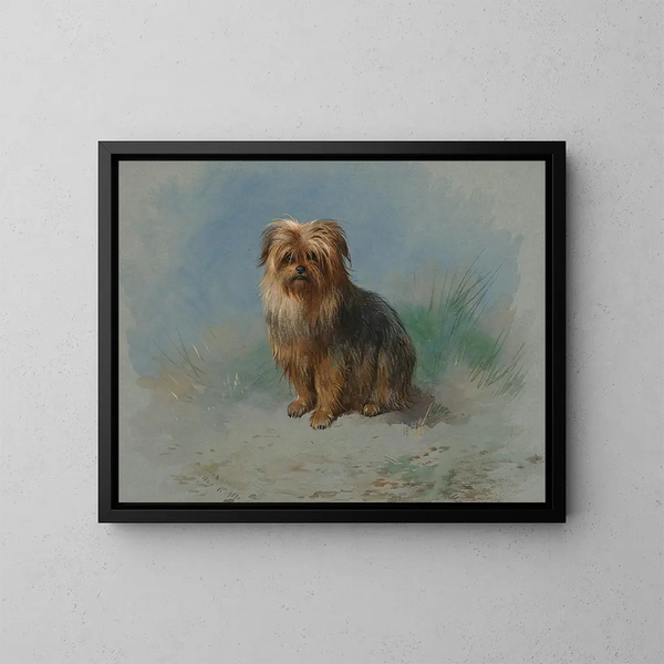 Ein Norfolk Terrier - Archibald Thorburn — gerahmtes Bild an der Wand