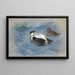 Ein Paar Eiderenten - Archibald Thorburn — gerahmtes Bild an der Wand