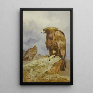 Archibald Thorburn - A Pair Of Golden Eagles.webp
