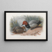 Una coppia di moriglioni - Archibald Thorburn — quadro incorniciato alla parete