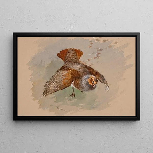 Archibald Thorburn - A Top Shot.webp