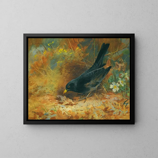 Archibald Thorburn - Blackbird.webp