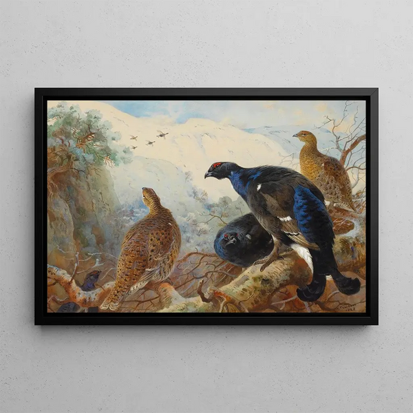 Großtrappe - Archibald Thorburn — gerahmtes Bild an der Wand