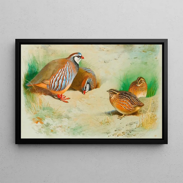 Perdrix rouge et poussins - Archibald Thorburn — gerahmtes Bild an der Wand