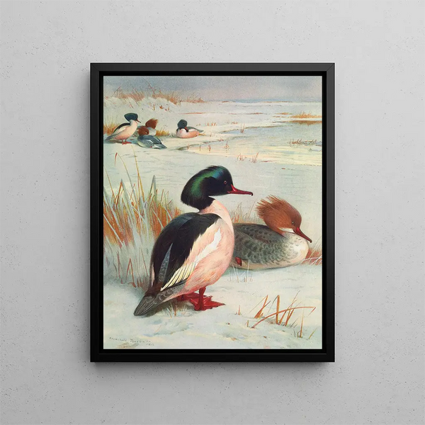 Harle Bièvre - Archibald Thorburn — gerahmtes Bild an der Wand