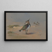 Vanneaux verts - Archibald Thorburn — gerahmtes Bild an der Wand