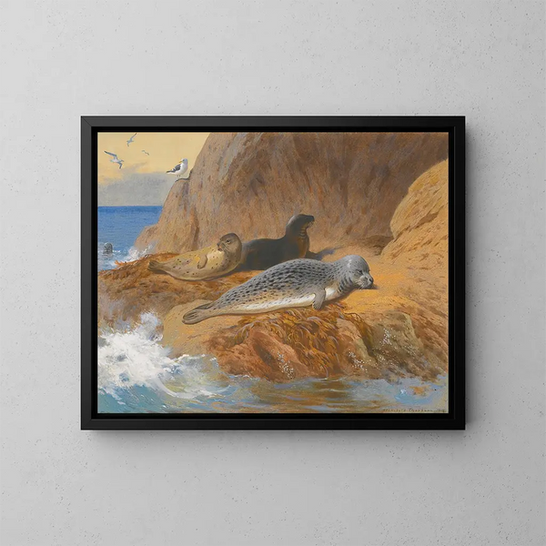 Graue Seehunde und Gemeinsame Seehunde in Ruhe - Archibald Thorburn — gerahmtes Bild an der Wand