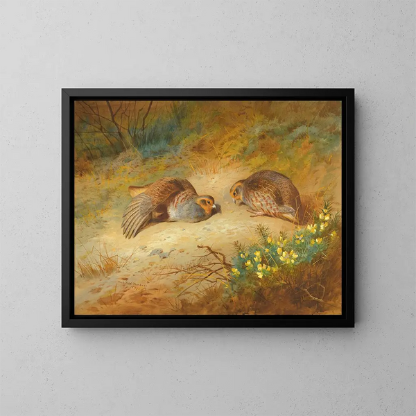 Perdrix grise - Archibald Thorburn — gerahmtes Bild an der Wand
