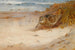 Affamato e senza tetto - Archibald Thorburn — vista dell’opera