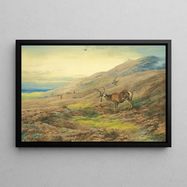 in den Highlands, roter Hirsch von einem Paar Wanderfalken belästigt - Archibald Thorburn — gerahmtes Bild an der Wand