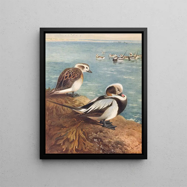 Ente im Winter-Laub - Archibald Thorburn — gerahmtes Bild an der Wand