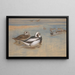 Enten mit langem Schwanz - Archibald Thorburn — gerahmtes Bild an der Wand